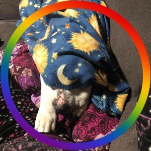 Meet your Posher, Claudia